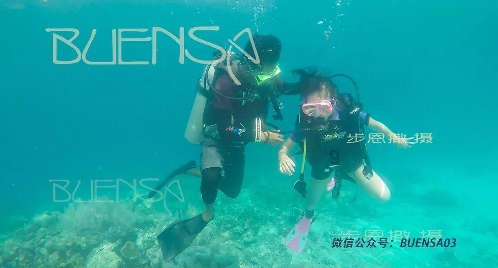 新飞飞